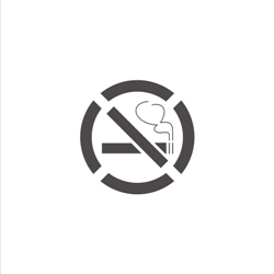 NO SMOKING